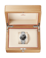 Omega Seamaster Aqua Terra 150M 41.5 mm, Steel on Steel, 231.10.42.21.01.002