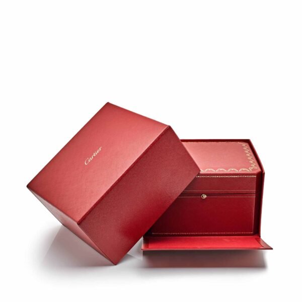 Cartier Santos De Cartier WGSA0018 Rose Gold (2022)