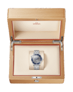 Omega Seamaster Diver 300M 42 mm, Steel on Steel, 210.30.42.20.06.001