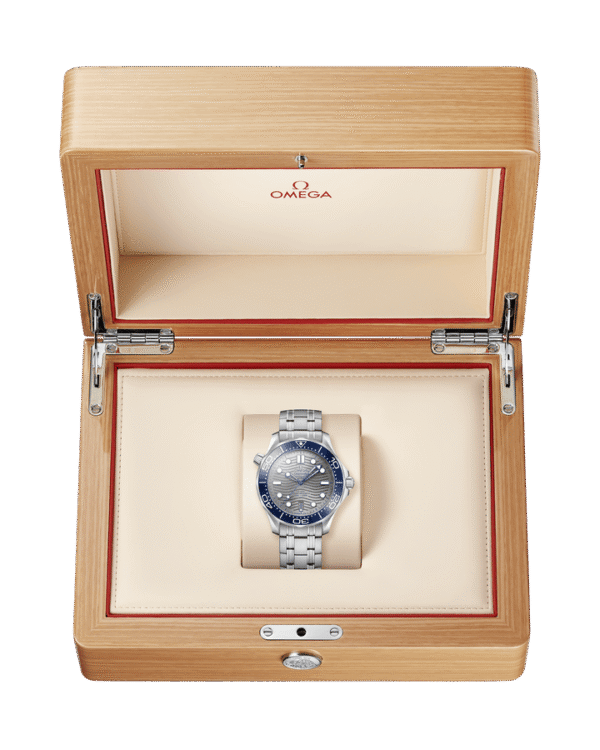 Omega Seamaster Diver 300M 42 mm, Steel on Steel, 210.30.42.20.06.001