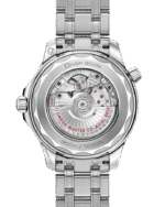 Omega Seamaster Diver 300M 42 mm, Steel on Steel, 210.30.42.20.06.001